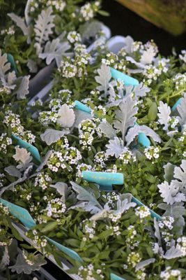 写真 2025-11-07 16 14 18_R_1