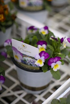 写真 2025-11-08 16 35 37_R_1