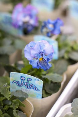 写真 2025-11-27 16 48 01_R_1