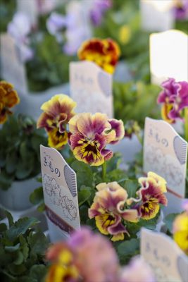 写真 2025-11-20 16 33 36_R_1