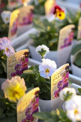 写真 2025-11-05 16 46 41_R_1