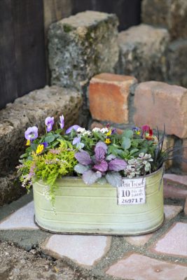 写真 2025-11-03 17 01 16_R_1