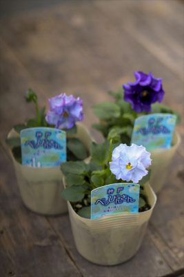 写真 2025-11-13 14 58 26_R_1