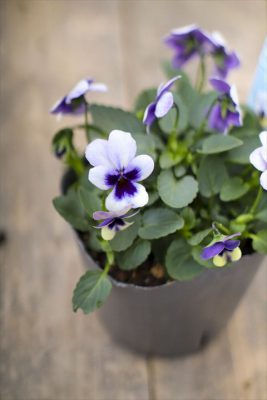 写真 2025-11-13 15 14 35_R_1