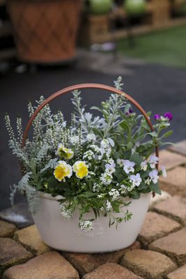 写真 2025-11-13 16 37 31_R_1