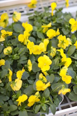 写真 2025-11-18 16 30 23_R_1