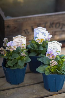 写真 2025-11-07 16 10 40_R_1