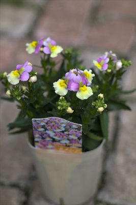 写真 2025-11-08 16 04 01_R_1