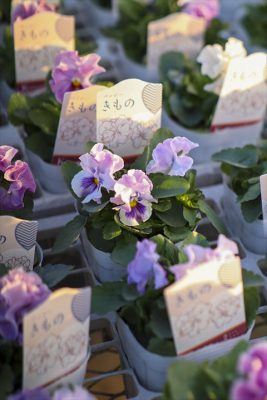 写真 2025-11-20 16 34 13_R_1