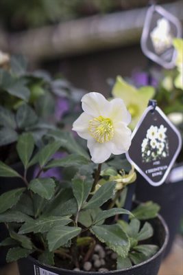 写真 2025-11-19 15 38 39_R_1