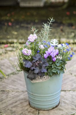 写真 2025-11-01 16 41 59_R_1