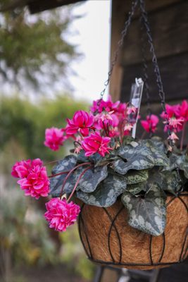 写真 2025-11-26 16 50 14_R_1