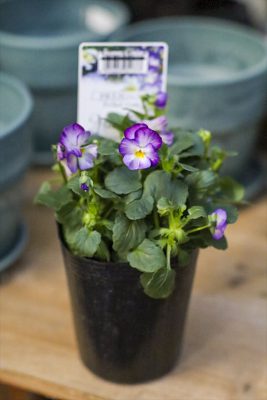 写真 2025-11-25 16 55 48_R_1