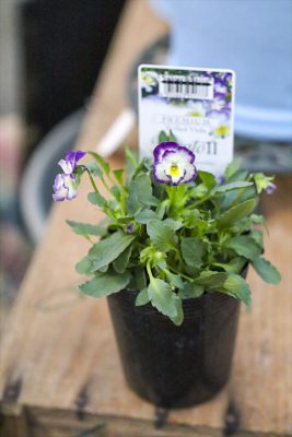 写真 2025-11-25 16 54 54_R_1