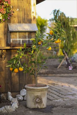 写真 2025-11-06 16 46 01_R_1