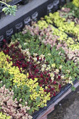 写真 2025-11-13 16 29 36_R_1