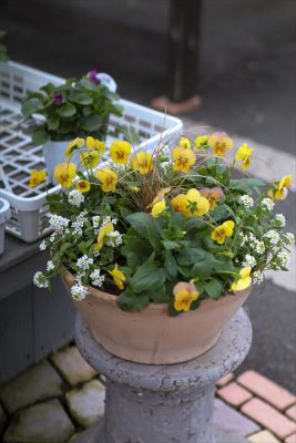 写真 2025-11-08 16 11 40_R_1