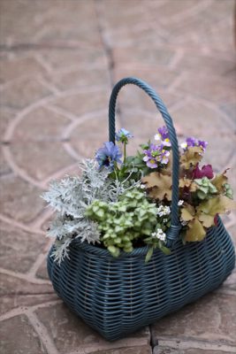 写真 2025-11-19 16 27 37_R_1