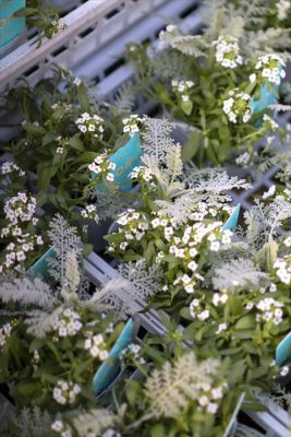 写真 2025-11-07 16 14 55_R_1