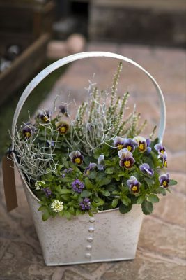 写真 2025-11-06 15 57 11_R_1