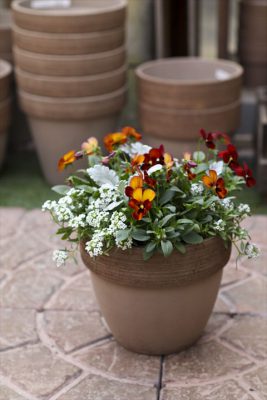 写真 2025-11-14 8 19 47_R_1