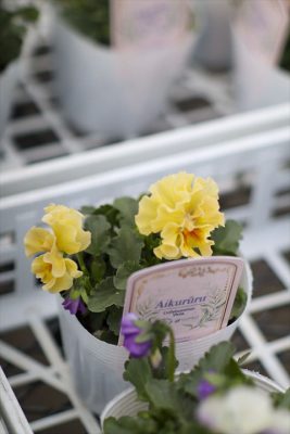 写真 2025-11-19 16 23 55_R_1