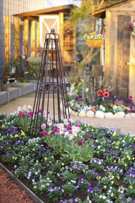 写真 2025-11-30 16 42 53_R_1