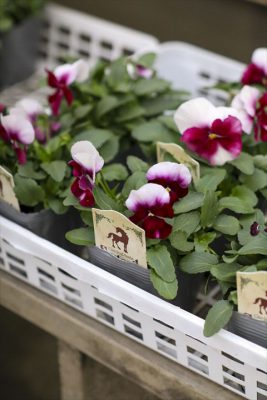 写真 2025-11-13 16 43 12_R_1