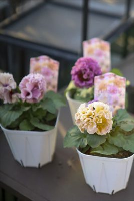 写真 2025-11-07 16 08 39_R_1