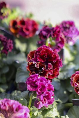 写真 2025-11-24 9 56 21_R_1