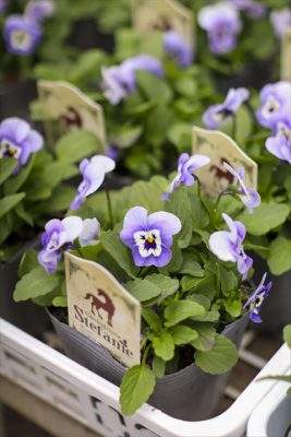 写真 2025-11-05 7 50 38_R_1