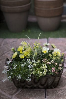 写真 2025-11-08 16 13 18_R_1