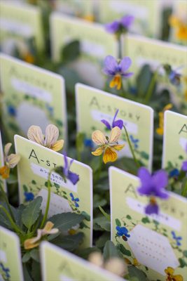 写真 2025-11-21 16 14 39_R_1