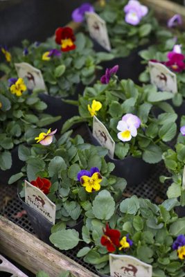 写真 2025-11-02 13 02 29_R_1