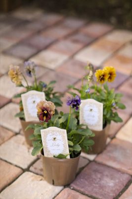 写真 2025-11-05 16 59 30_R_1