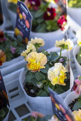 写真 2025-11-07 15 47 13_R_1