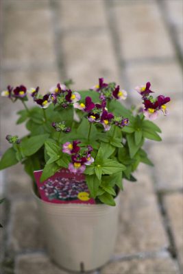 写真 2025-11-08 16 03 51_R_1