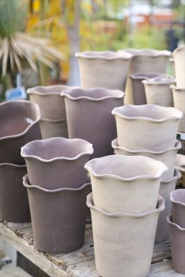 写真 2025-11-25 8 05 16_R_1