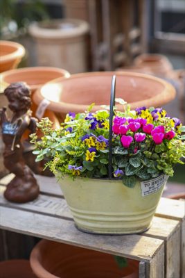 写真 2025-11-14 8 22 36_R_1