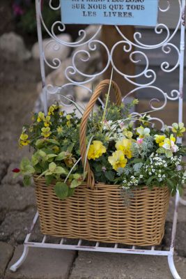 写真 2025-11-08 16 21 01_R_1