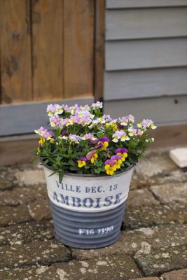 写真 2025-11-13 16 25 15_R_1