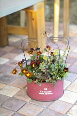 写真 2025-11-23 16 42 41_R_1