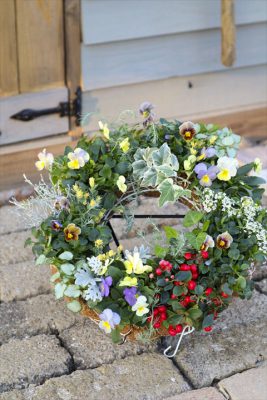 写真 2025-11-16 16 38 11_R_1