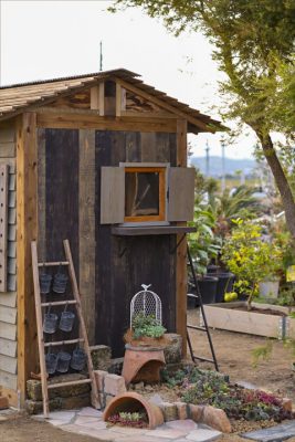 写真 2025-11-05 17 01 34_R_1