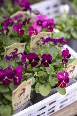 写真 2025-11-05 7 50 16_R_1