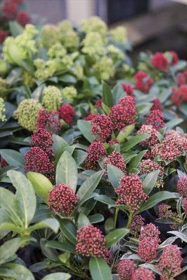 写真 2025-11-21 17 01 48_R_1