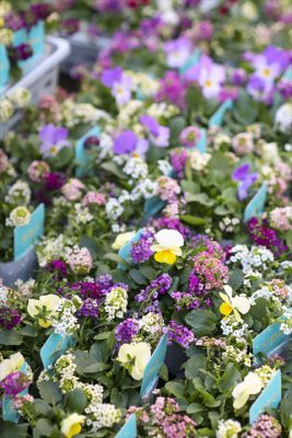 写真 2025-11-18 16 28 44_R_1