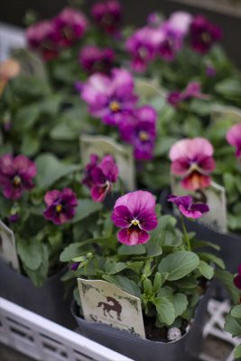 写真 2025-11-08 16 38 18_R_1