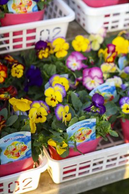 写真 2025-11-20 16 31 49_R_1