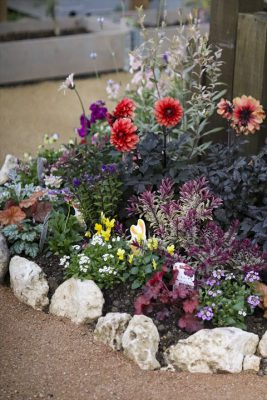 写真 2025-11-27 16 53 09_R_1